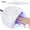 プチトル 48W ピュアシャインの商品画像