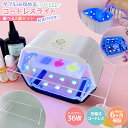 GreenOcean 36Wコードレスの商品画像